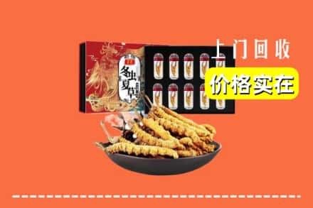 七台河新兴区回收冬虫夏草